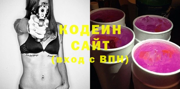 ПСИЛОЦИБИНОВЫЕ ГРИБЫ Богданович