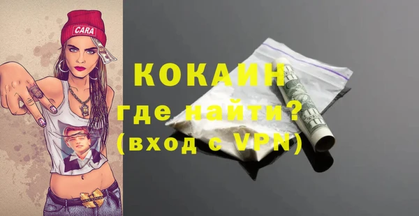 ПСИЛОЦИБИНОВЫЕ ГРИБЫ Богданович