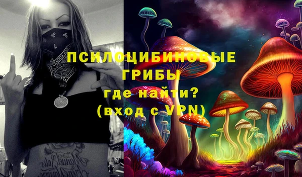 ПСИЛОЦИБИНОВЫЕ ГРИБЫ Богданович
