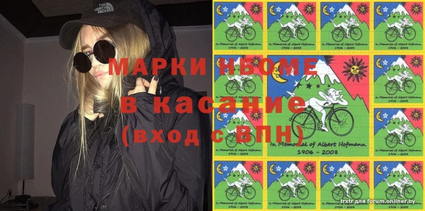 гашик Богородск