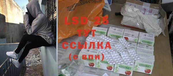 ПСИЛОЦИБИНОВЫЕ ГРИБЫ Богданович