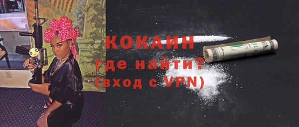 ПСИЛОЦИБИНОВЫЕ ГРИБЫ Богданович
