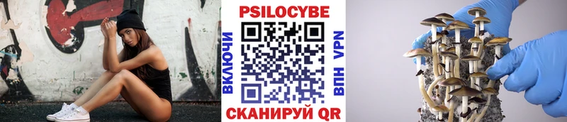 купить наркотики цена  Далматово  Галлюциногенные грибы Cubensis 